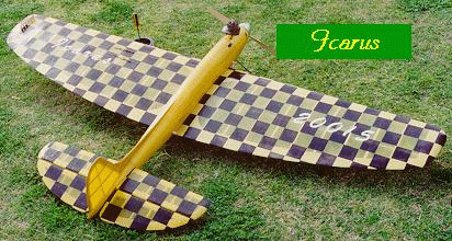 Picture of Icarus Senior